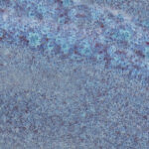 ΣΜΑΛΤΟ  MID FIRE LAVENDER MIST 473ml 2107
