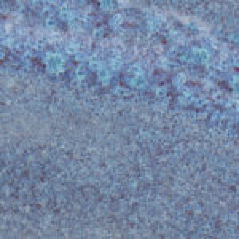 ΣΜΑΛΤΟ  MID FIRE LAVENDER MIST 473ml 2107