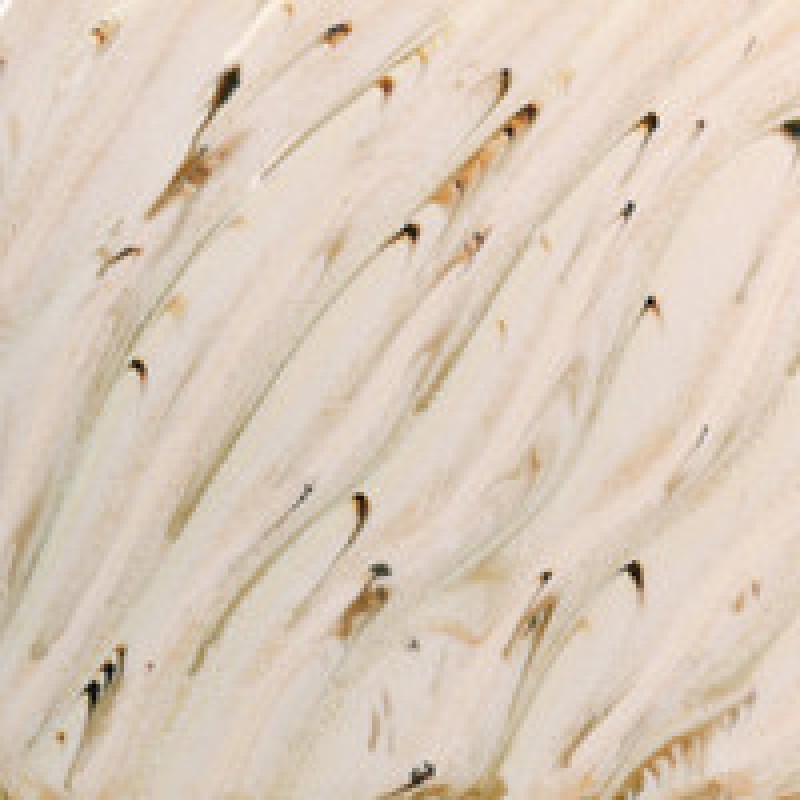 PCF-74 RIVER BIRCH 472ml