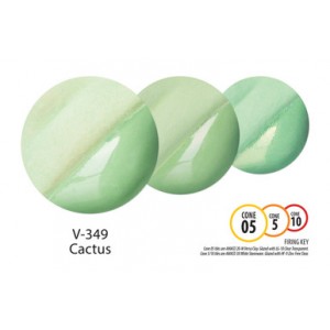 V349 CACTUS