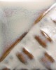 SW131 BIRCH 473ml