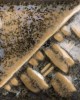 SW218 MICRO ASH 473ml