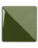 PINE 1013