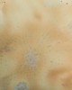 CG993 LAVENDER SPRINGS