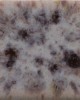 CG993 LAVENDER SPRINGS