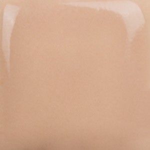 SC-20 CASHEW LATER  473ml