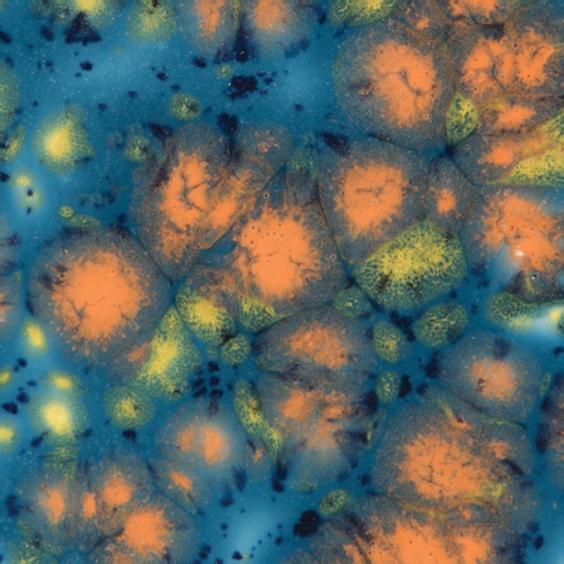CG983 KOI POND