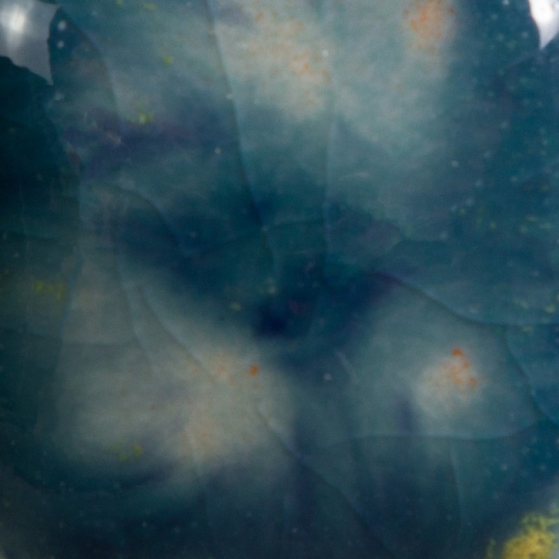 CG983 KOI POND