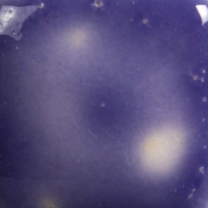 S2723 GRAPE DIVINE