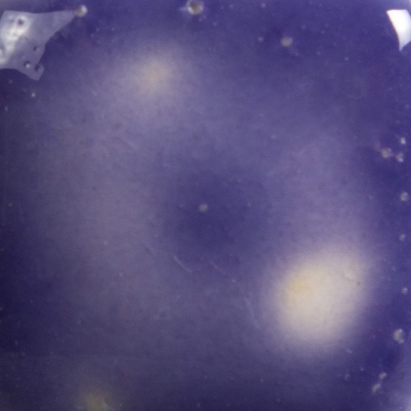 S2723 GRAPE DIVINE
