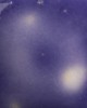 S2723 GRAPE DIVINE