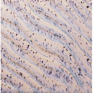 PCF-16 AURORA BREEZE  - 472ml