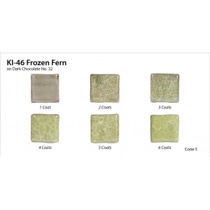 KI -46 FROZEN FERN - 472ml