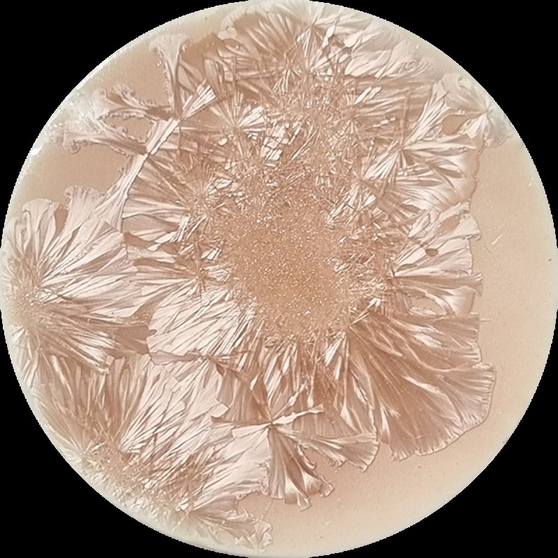 SUPERNOVA  GLAZE SN003 NEMESIS 140 ML