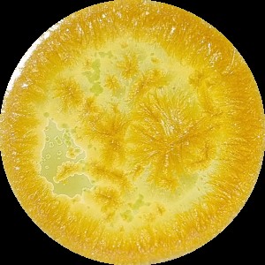 SUPERNOVA  GLAZE SN103 SOLARIS  140 ML