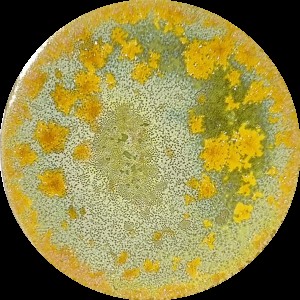 SUPERNOVA  GLAZE SN105 ZHANG  140 ML