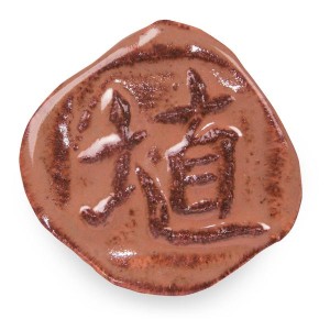 SH-51 HIBISCUS GLOSS 472ml