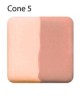 V323 SALMON